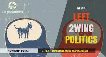 Understanding Left-Wing Politics: Core Principles, Goals, and Global Impact