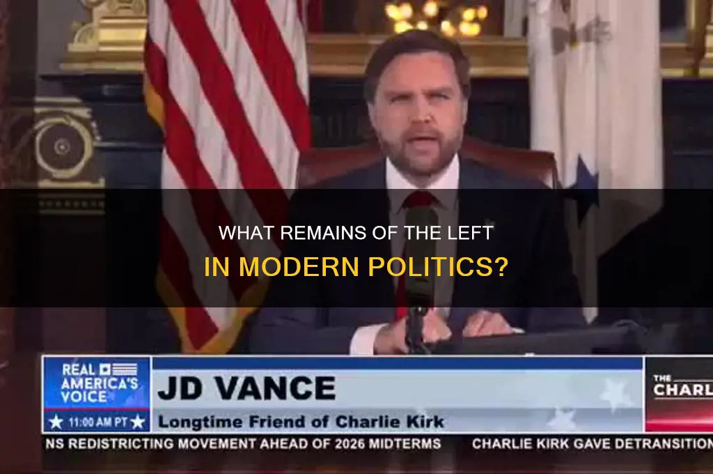 what is left in politics
