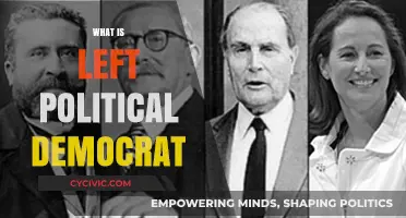 Understanding Left-Wing Democratic Politics: Principles, Policies, and Global Impact