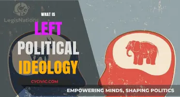 Understanding Left-Wing Politics: Core Principles and Ideological Foundations Explained