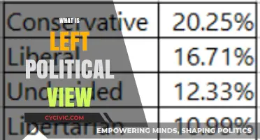 Exploring the Left: A Comprehensive Guide to Political Ideologies