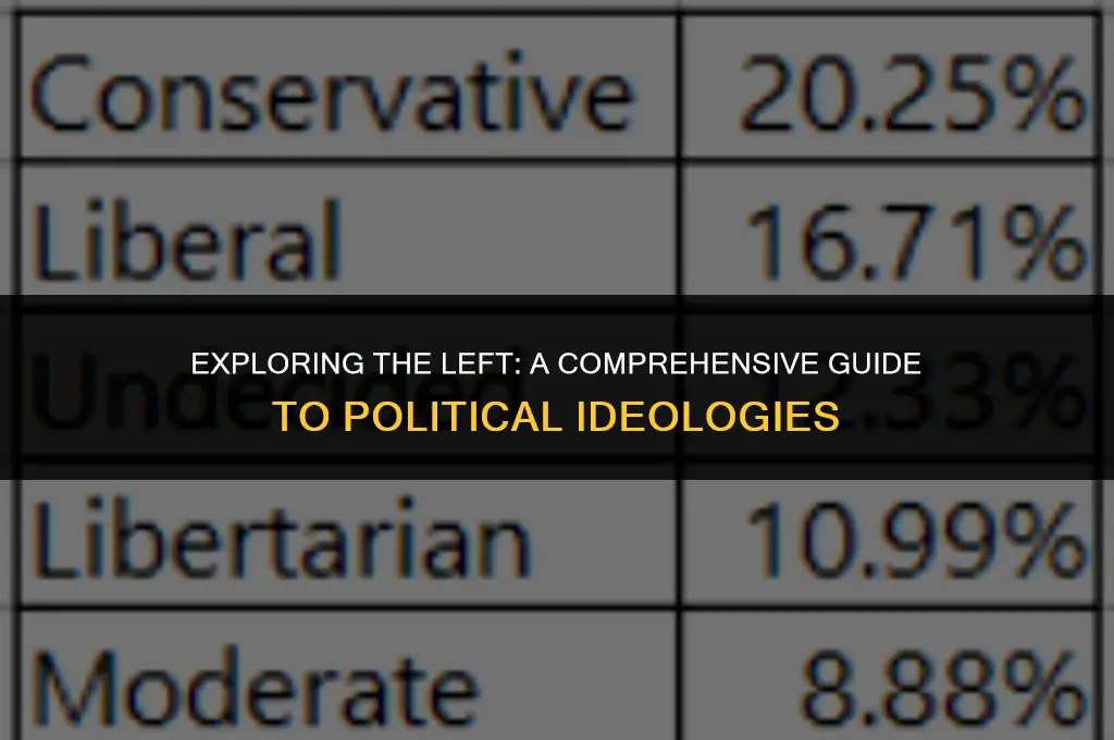 what is left political view