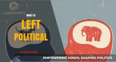Understanding Left-Wing Politics: Core Principles and Global Impact Explained