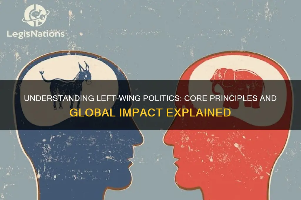 what is left political