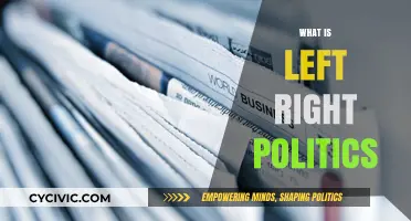 Understanding Left-Right Politics: A Comprehensive Guide