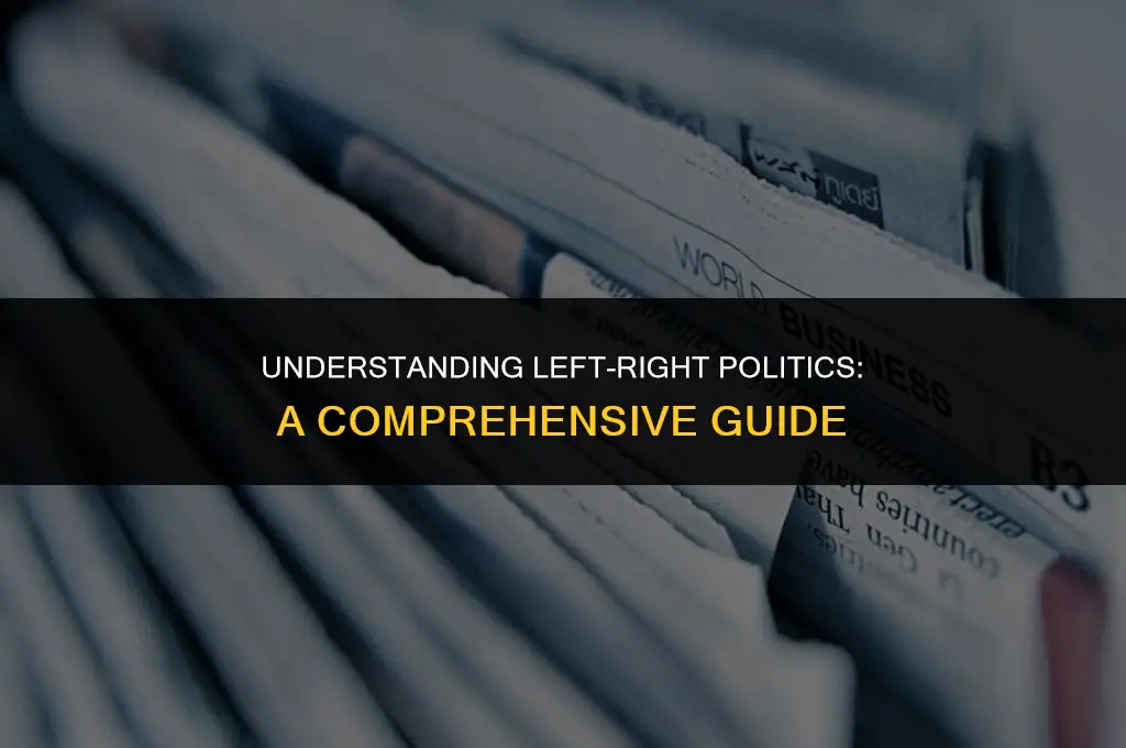 what is left right politics