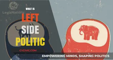 Understanding Left-Wing Politics: Ideologies, Goals, and Global Impact