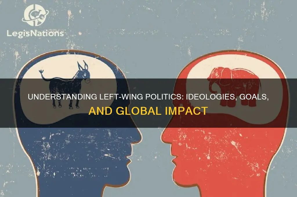 what is left side politic