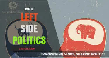 Understanding Left-Wing Politics: Core Values, Goals, and Global Impact