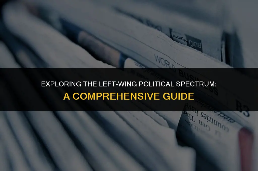 what is left win political view