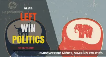 Understanding Left-Wing Politics: Core Principles, Goals, and Global Impact