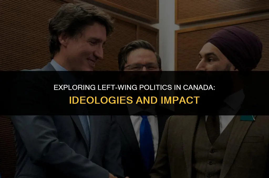 what is left wing politics in canada