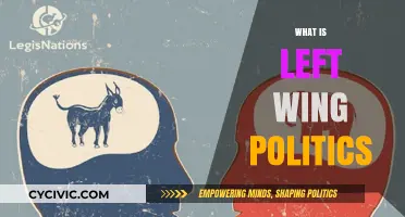 Understanding Left-Wing Politics: Core Principles, Goals, and Global Impact