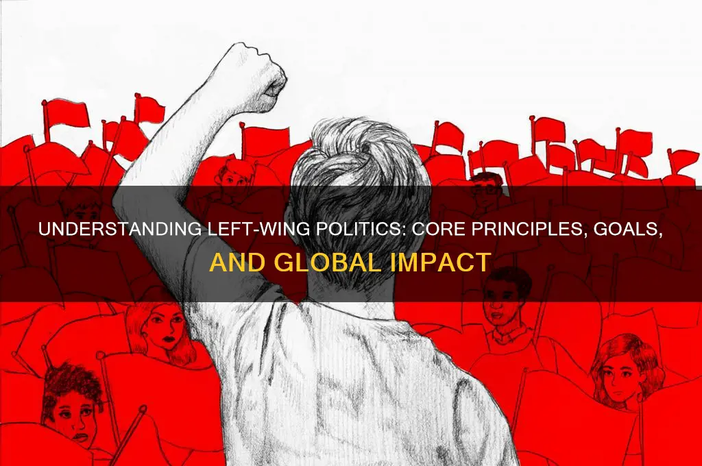 what is left wing politics