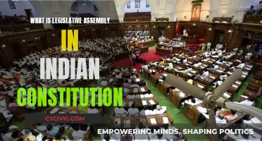 Understanding India's Legislative Assembly and its Constitutional Role
