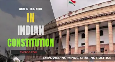 Legislature in India: Understanding Its Constitutional Role