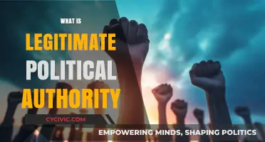 Understanding Legitimate Political Authority: Foundations, Sources, and Modern Challenges