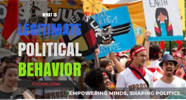 Understanding Legitimate Political Behavior: Ethics, Norms, and Democratic Principles