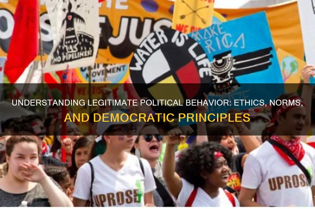 what is legitimate political behavior