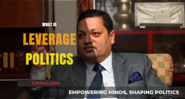 Understanding Leverage Politics: Strategies, Power Dynamics, and Influence in Governance