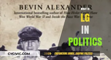 Understanding the Role and Impact of LG in Political Systems