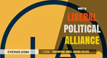 Understanding the Liberal Political Alliance: Goals, Structure, and Impact