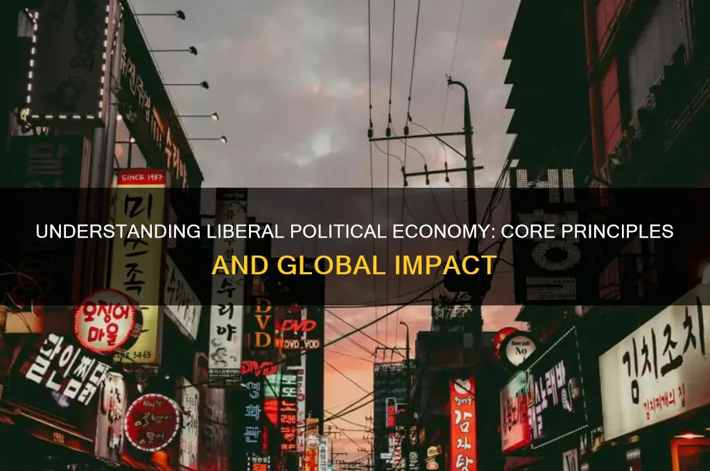 what is liberal political economy