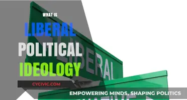 Understanding Liberalism: Core Principles and Impact of Liberal Political Ideology