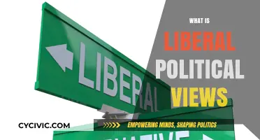Exploring Liberal Political Views: A Comprehensive Guide