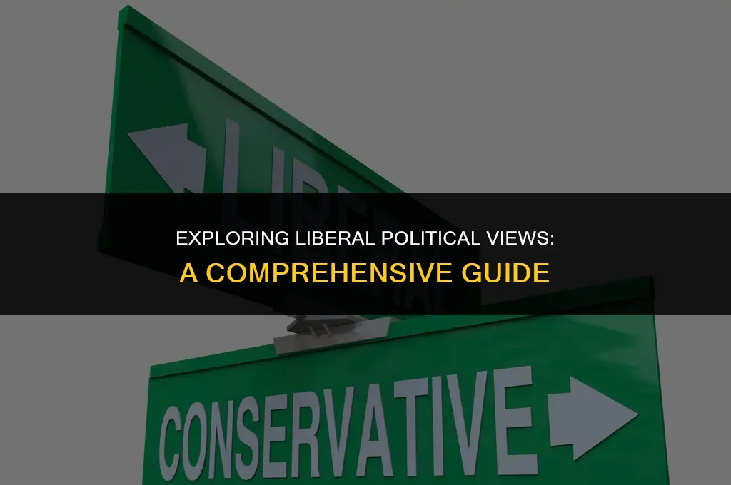 what is liberal political views