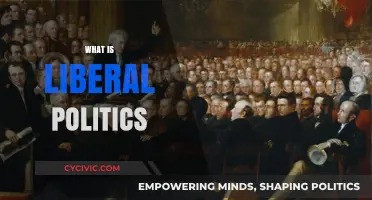 Understanding Liberal Politics: Core Principles, Values, and Modern Impact