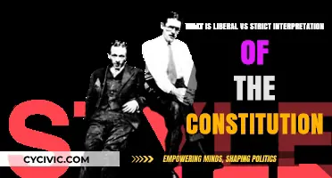 Liberal vs Strict: Interpreting the Constitution