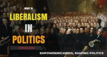 Understanding Liberalism: Core Principles and Political Impact Explained