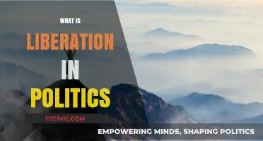 Understanding Political Liberation: Freedom, Justice, and Societal Transformation Explained