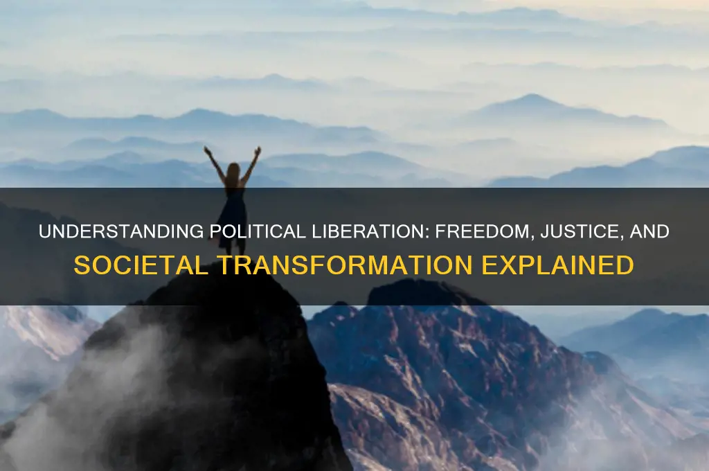 what is liberation in politics