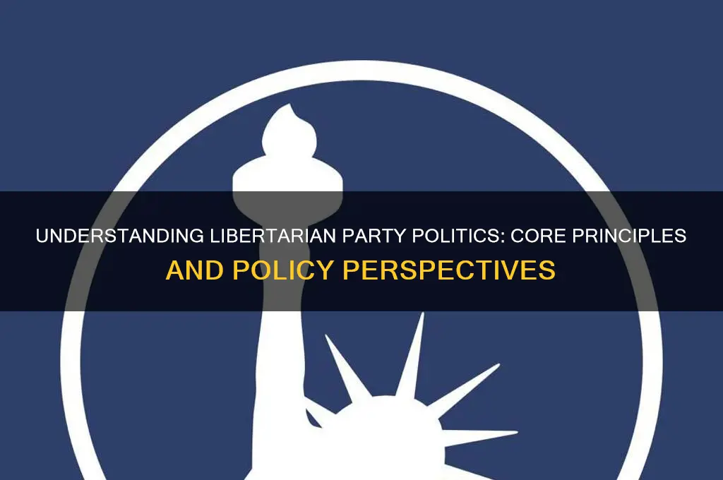 what is libertarian party politics