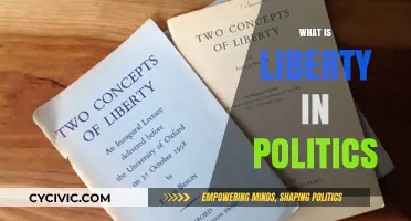 Understanding Liberty: Core Principles and Political Significance Explained