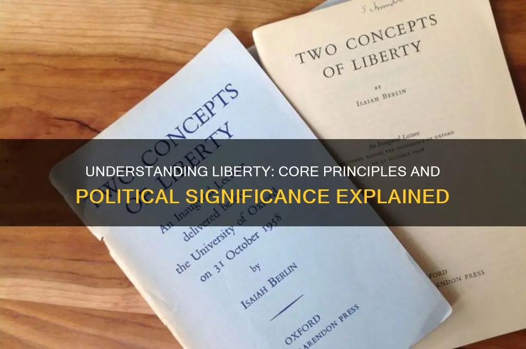 what is liberty in politics