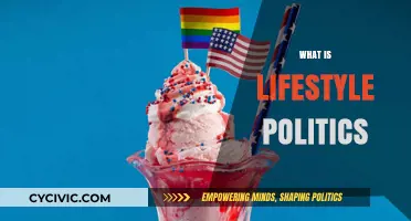 Understanding Lifestyle Politics: How Personal Choices Shape Public Policy