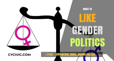 Exploring Gender Politics: Power, Identity, and Social Dynamics Explained