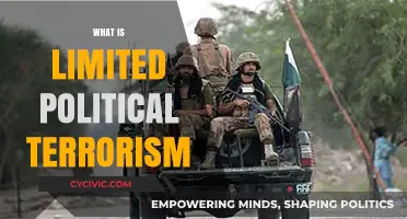 Understanding Limited Political Terrorism: Tactics, Goals, and Global Impact