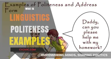 Understanding Linguistic Politeness: Examples and Strategies in Communication