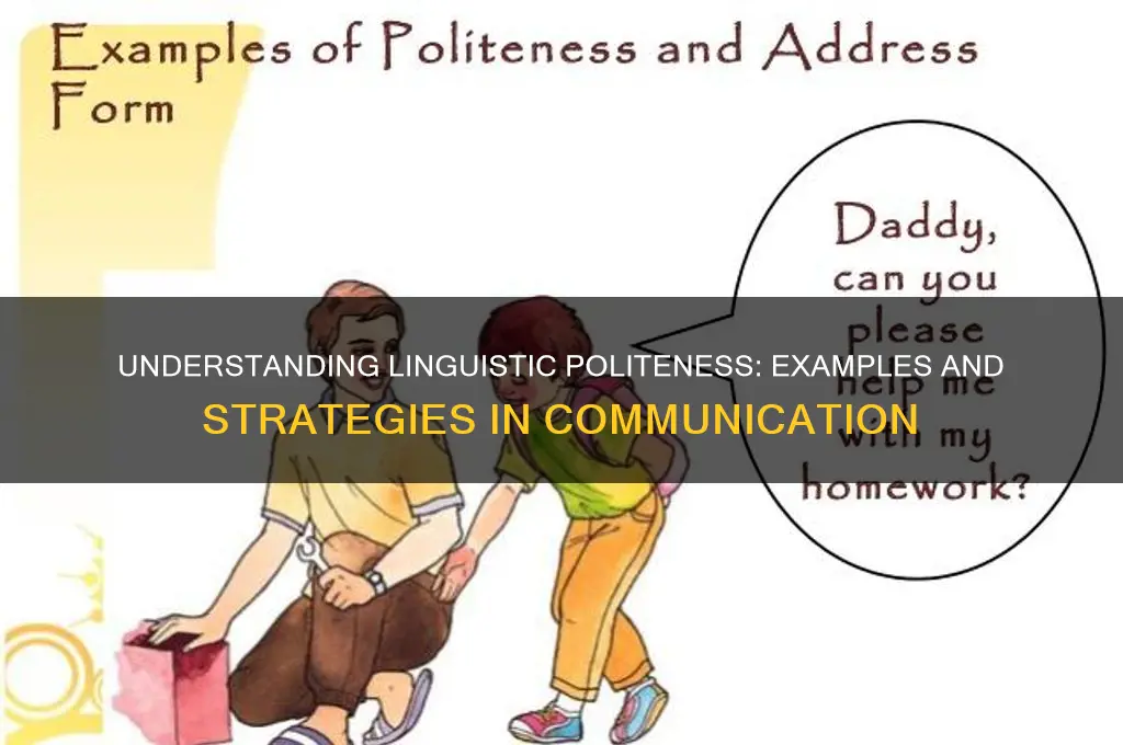 what is linguistics politeness examples