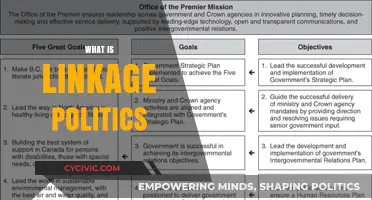 Understanding Linkage Politics: Strategies, Impacts, and Global Implications