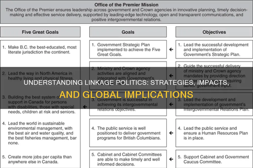 what is linkage politics