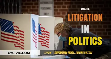 Litigation in Politics: Understanding Legal Battles and Their Political Impact