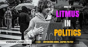 Understanding Litmus Tests: Political Divides and Their Impact on Governance