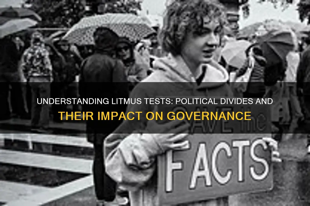 what is litmus in politics