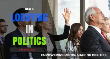 Understanding Political Lobbying: Influence, Power, and Policy Shaping Explained