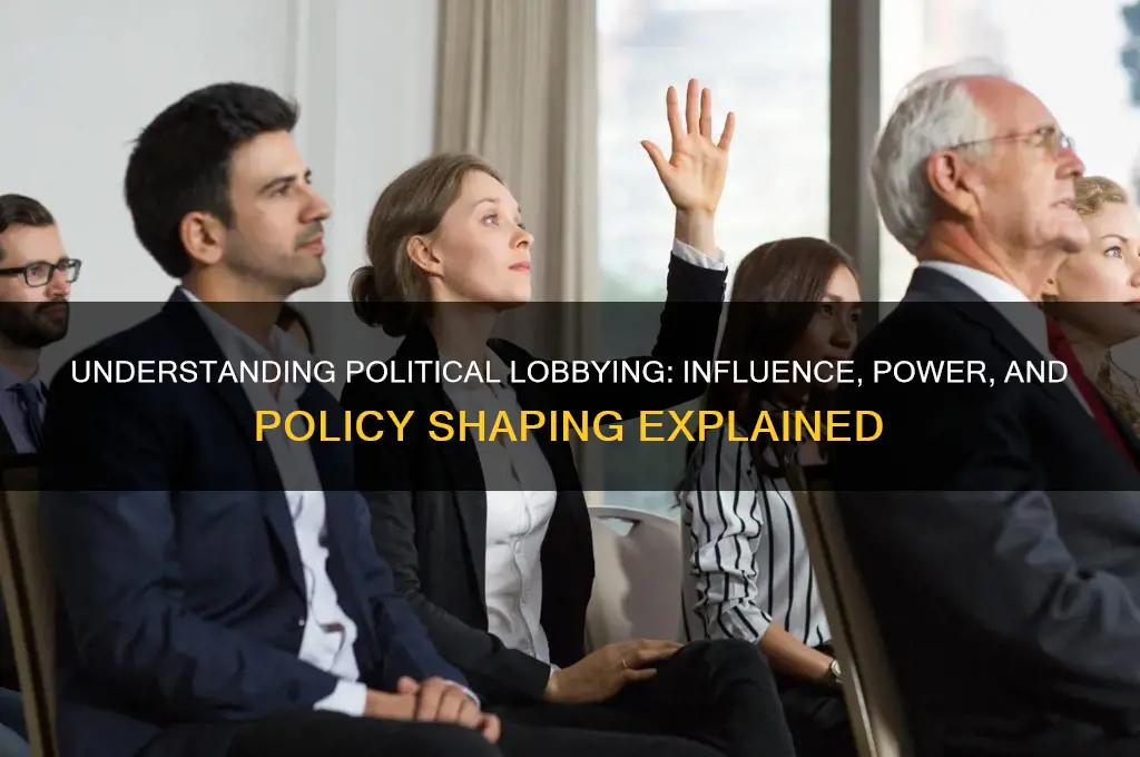 what is lobbying in politics